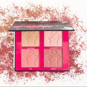 Miami Blush and Highlight Palette